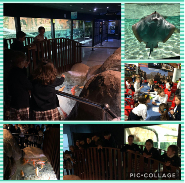 2020 02 20 Excursion al Acuario