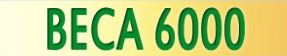 BECA1