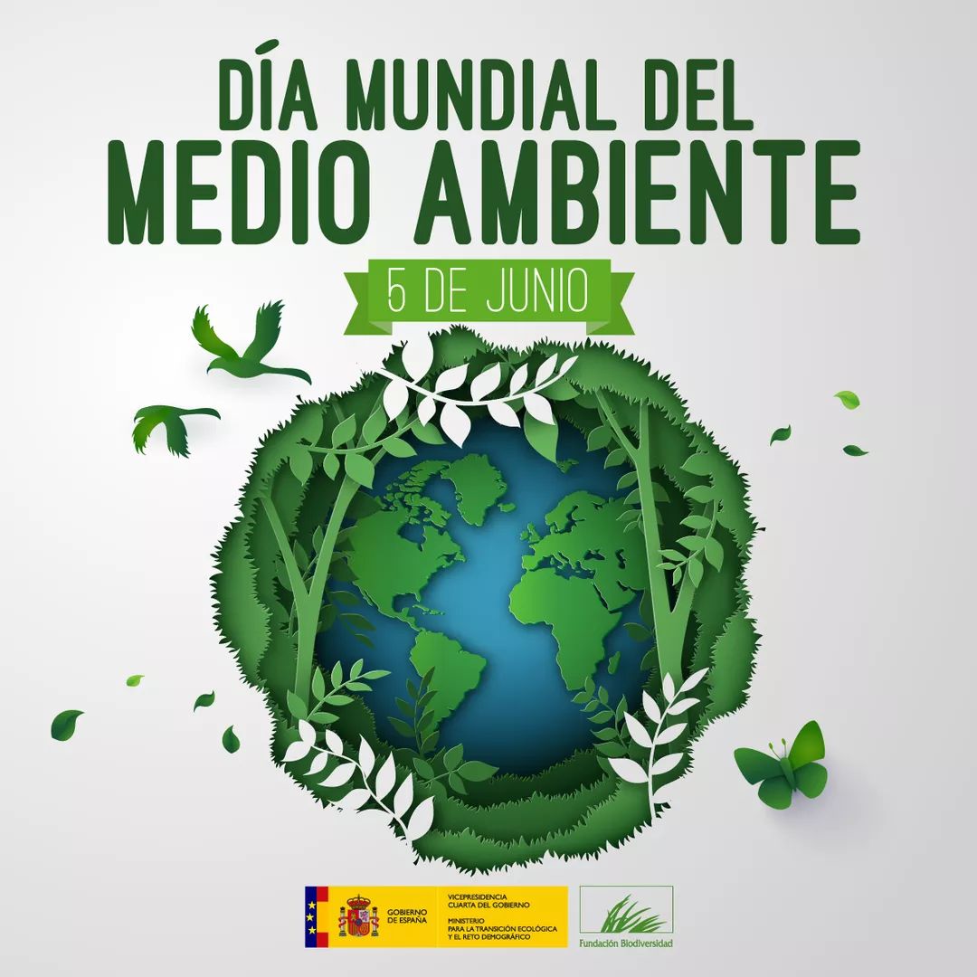 DIA MUNDIAL DEL MEDIO AMBIENTE